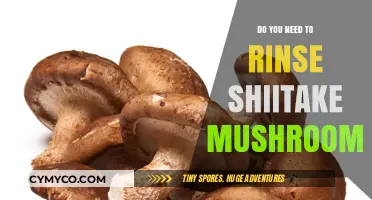 The Essential Guide to Prepping Shiitake Mushrooms: Rinse or Not?
