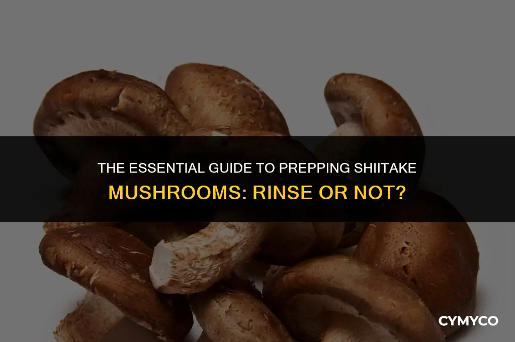 do you need to rinse shiitake mushrooms