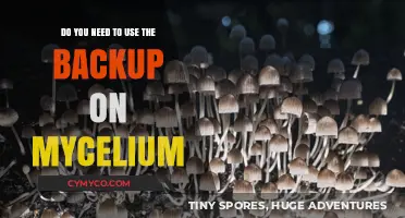 Mycelium Backup: Essential or Optional for Your Grow?