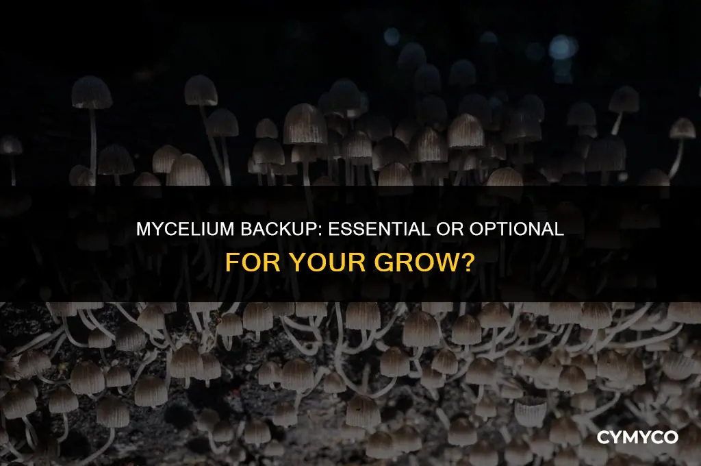 do you need to use the backup on mycelium