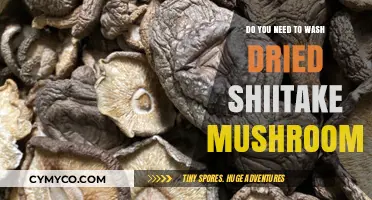 The Essential Guide to Preparing Dried Shiitake Mushrooms