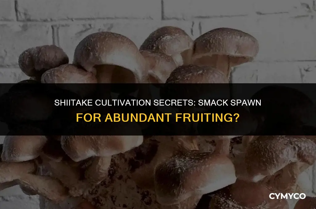 do you smack shiitake spawn to get it to fruit