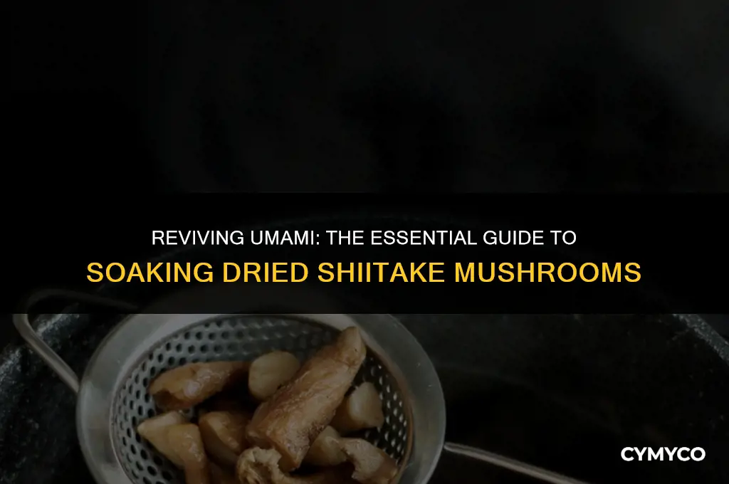 do you soak dried shiitake mushrooms