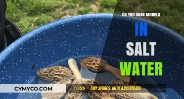 Morel Mushrooms: The Saltwater Soaking Debate