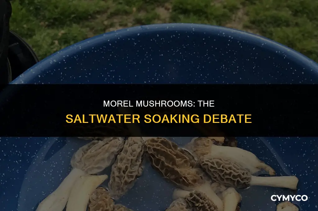 do you soak morels in salt water