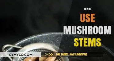 From Trash to Treasure: The Surprising Uses of Mushroom Stems