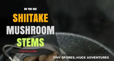 Unlocking Umami: The Surprising Uses of Shiitake Mushroom Stems