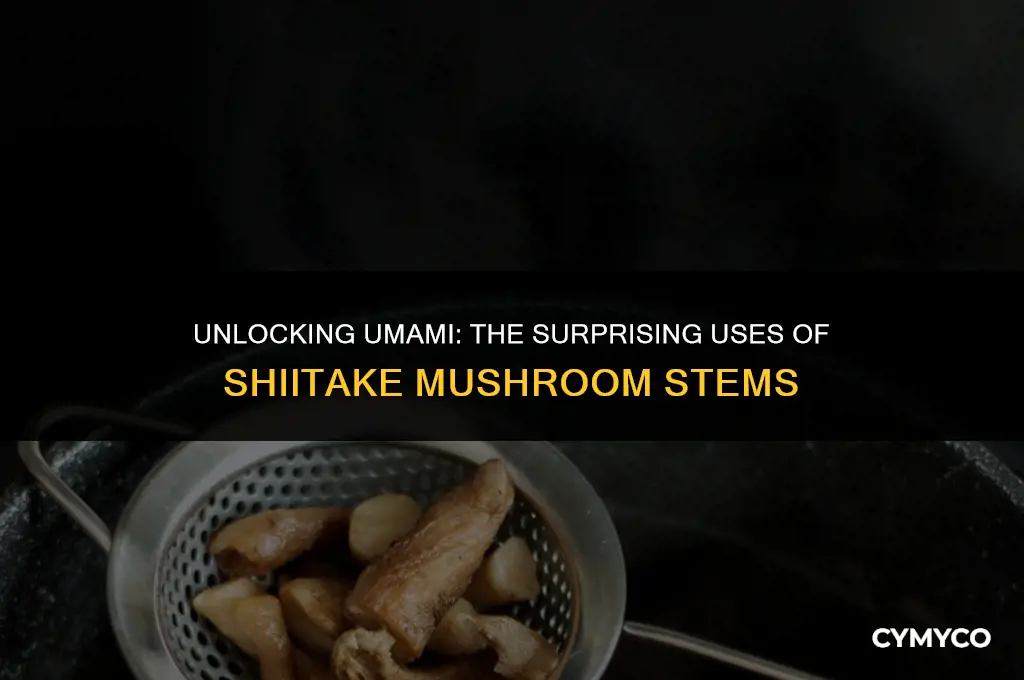 do you use shiitake mushroom stems
