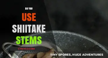 Unlocking Umami: The Surprising Uses of Shiitake Stems