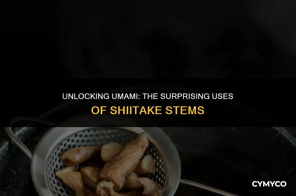 do you use shiitake stems