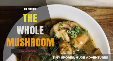Maximizing Flavor: The Art of Using Every Part of the Mushroom