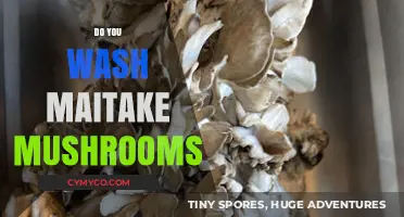 How to Properly Wash Maitake Mushrooms for Optimal Flavor and Texture