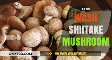 Should You Wash Shiitake Mushrooms? Tips for Cleaning and Prep