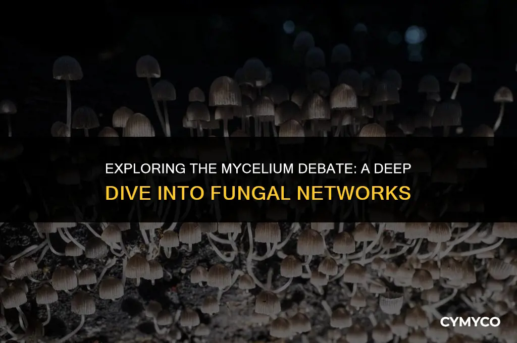 do you watch mycelium or not