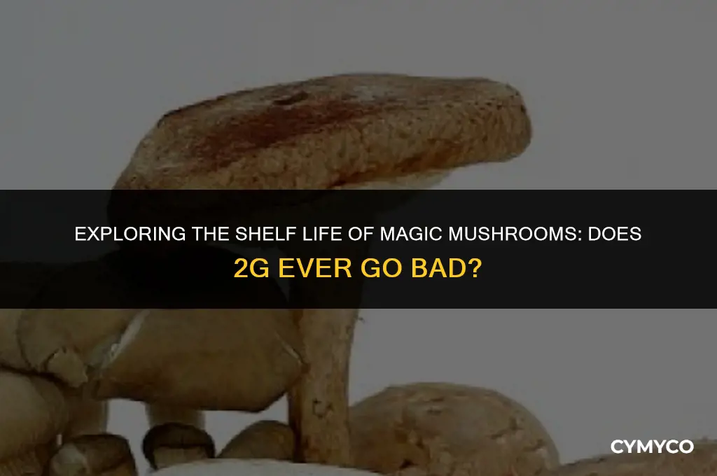 does 2g ever go bad mushrooms