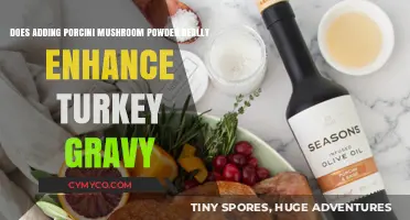 Porcini Mushroom Powder: The Secret to Elevating Turkey Gravy?