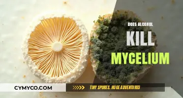 The Sober Truth: Alcohol's Surprising Impact on Mycelium Growth