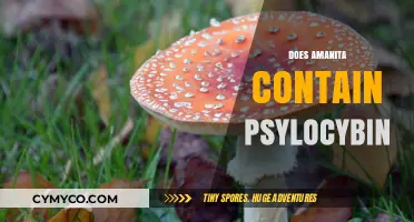 Exploring the Psychedelic Potential of Amanita Mushrooms