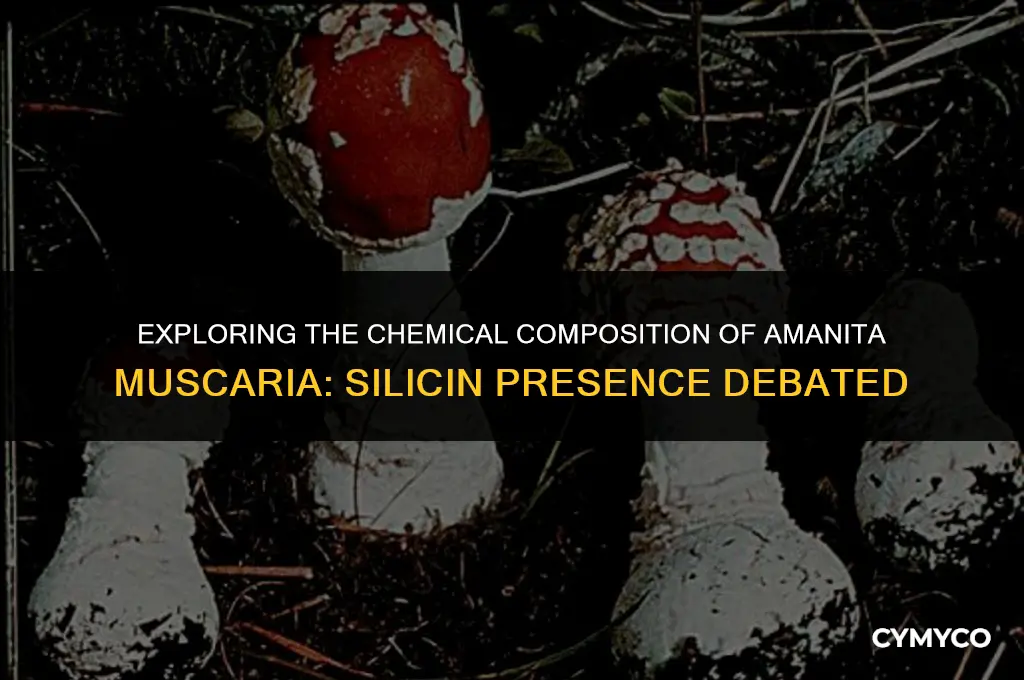 does amanita muscaria contain silicin