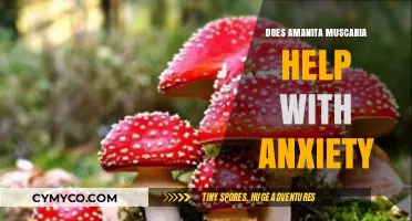 Exploring Amanita Muscaria's Potential Role in Alleviating Anxiety