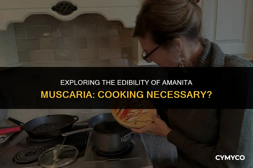 does amanita muscaria need to be cooked