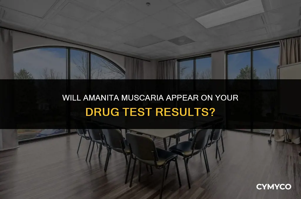 does amanita muscaria show up on a drug screen