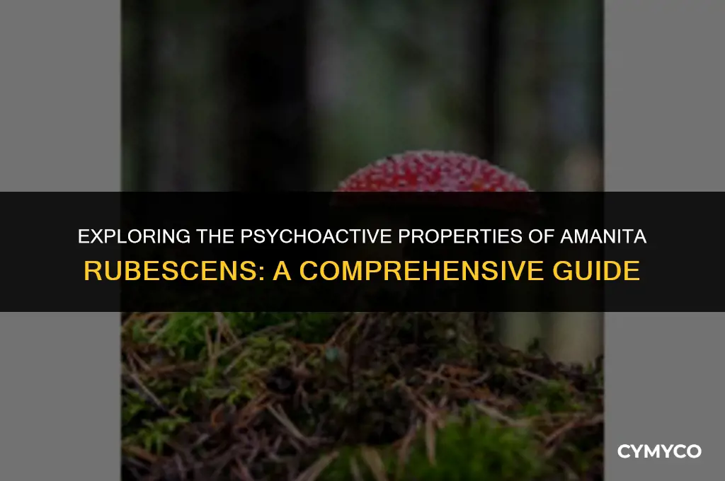 does amanita rubescens have muscimol