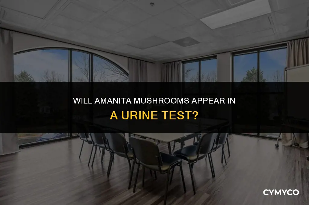 does amanita show up in urine test