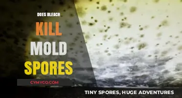 Bleach's Efficacy Against Mold Spores: A Comprehensive Guide