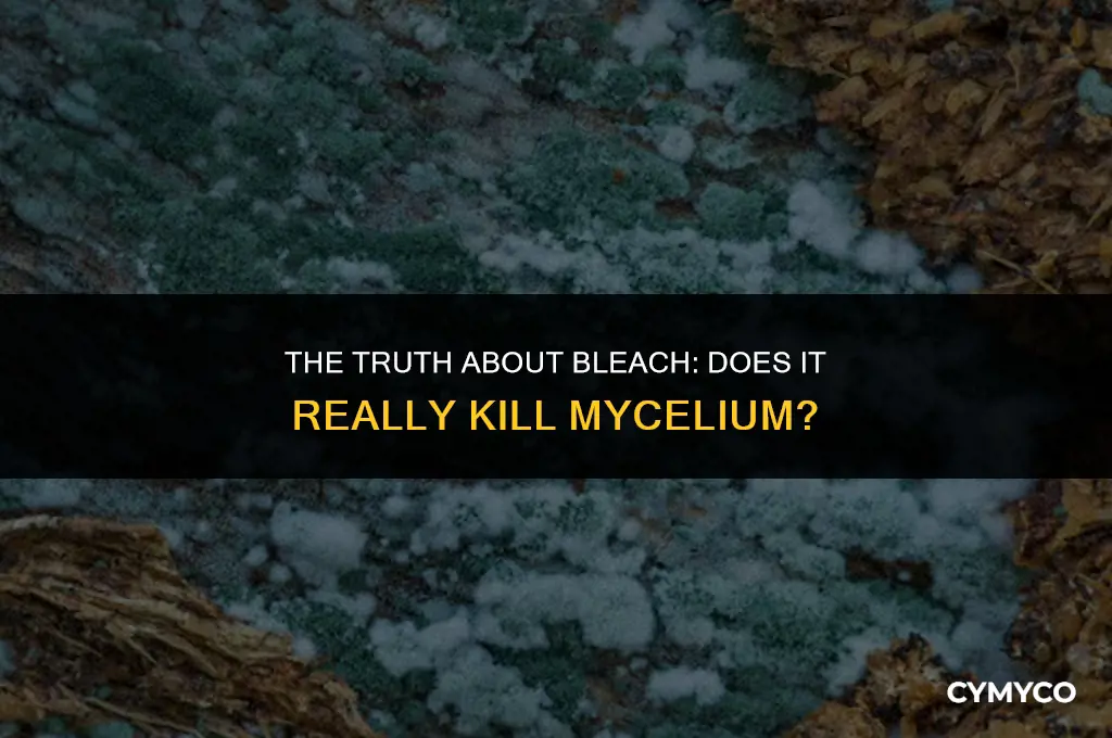 does bleach kill mycelium