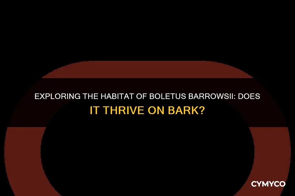 does boletus barrowsii grow on bark
