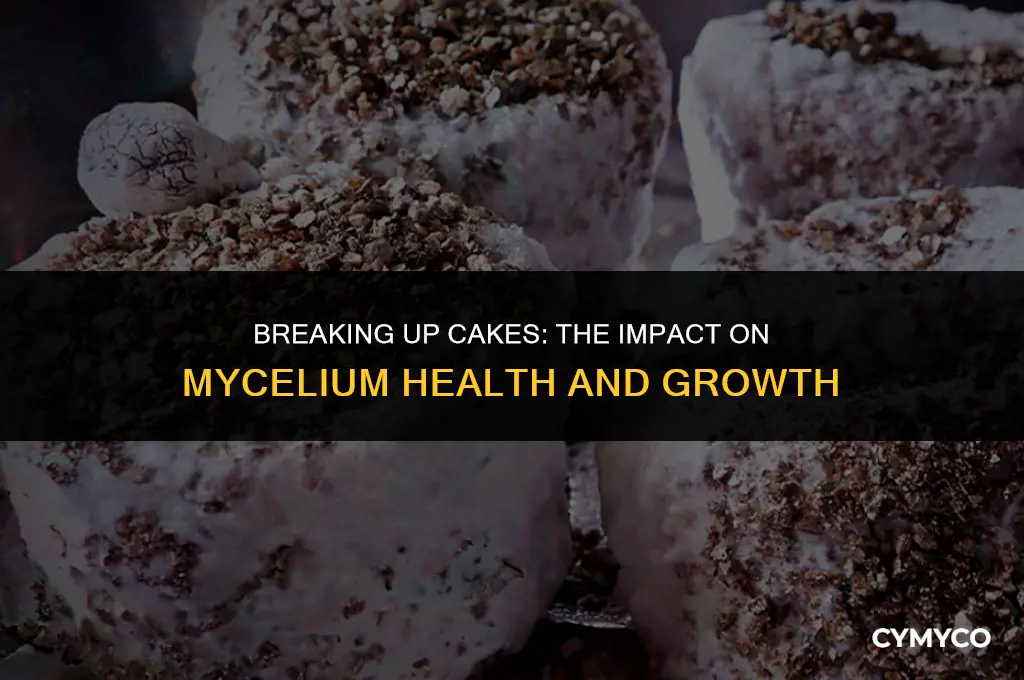 does braking up cakes damage mycelium