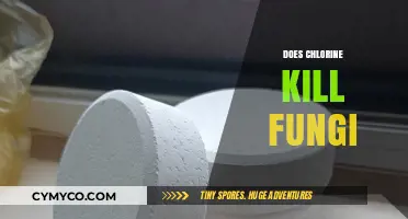 Chlorine's Effectiveness Against Fungi: A Comprehensive Guide