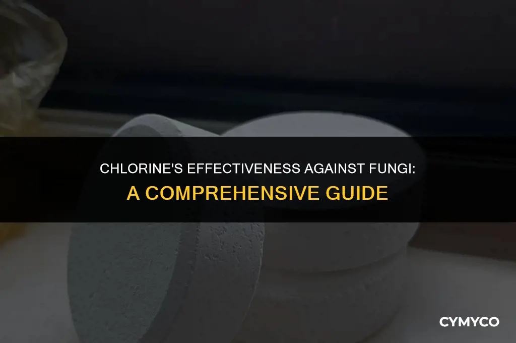 does chlorine kill fungi