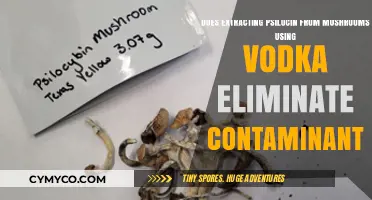 Psilocin Extraction with Vodka: Separating Fact from Fiction