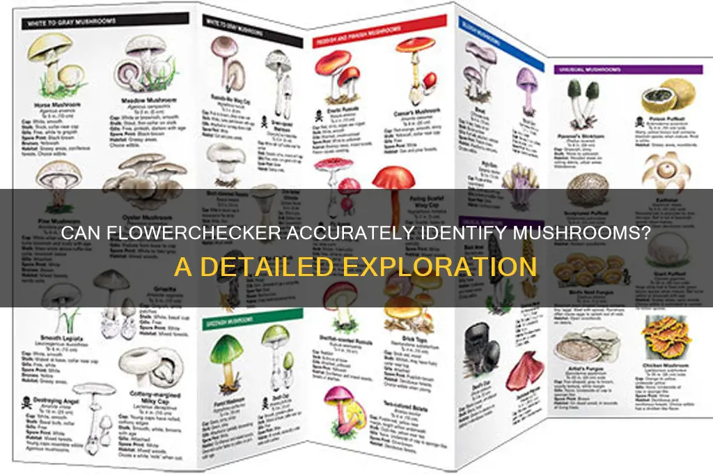 does flowerchecker identify mushrooms