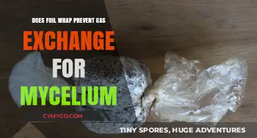 Exploring the Role of Foil Wrap in Mycelium Gas Exchange
