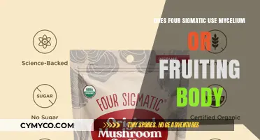 Exploring Four Sigmatic: Mycelium vs. Fruiting Body Debate Uncovered
