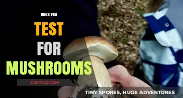 Does FRA Test for Mushrooms? Unraveling Drug Testing Myths and Facts
