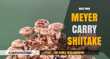 Exploring Fred Meyer's Mushroom Selection: Shiitake Included?