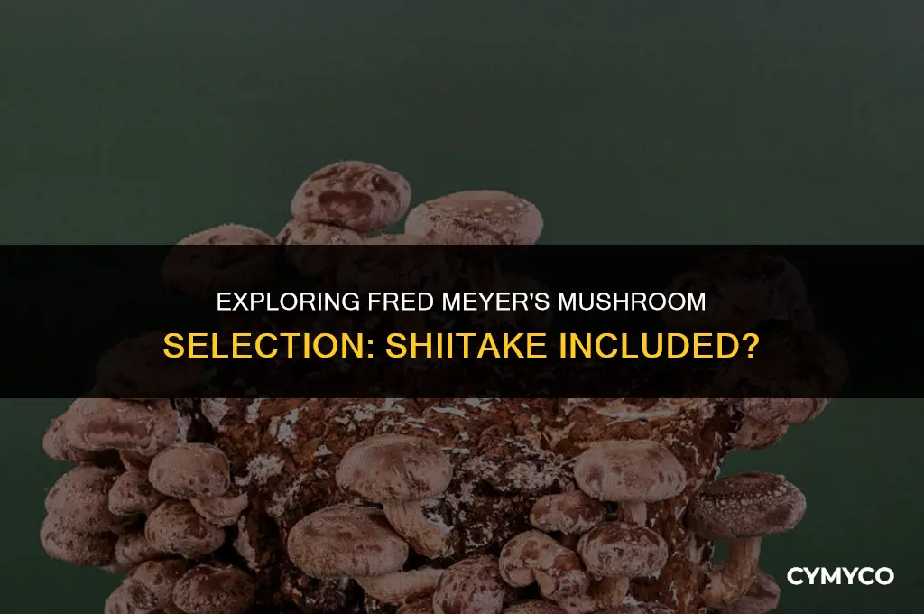 does fred meyer carry shiitake