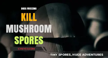 Freezing Mushrooms: Does Cold Temperature Kill Spores Effectively?