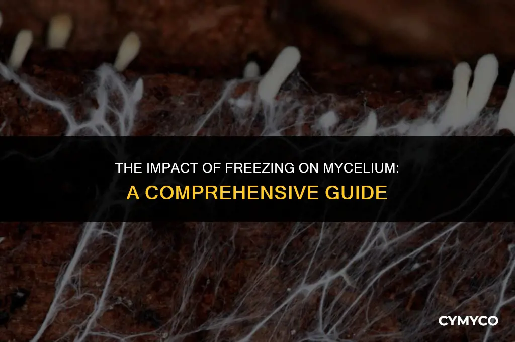 does freezing kill mycelium