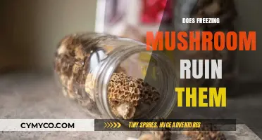 Freezing Mushrooms: Preserving Flavor or Ruining Texture?
