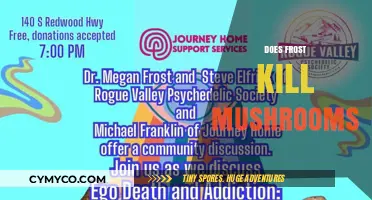 Frost's Impact: Can Cold Temperatures Kill Mushrooms in Nature?