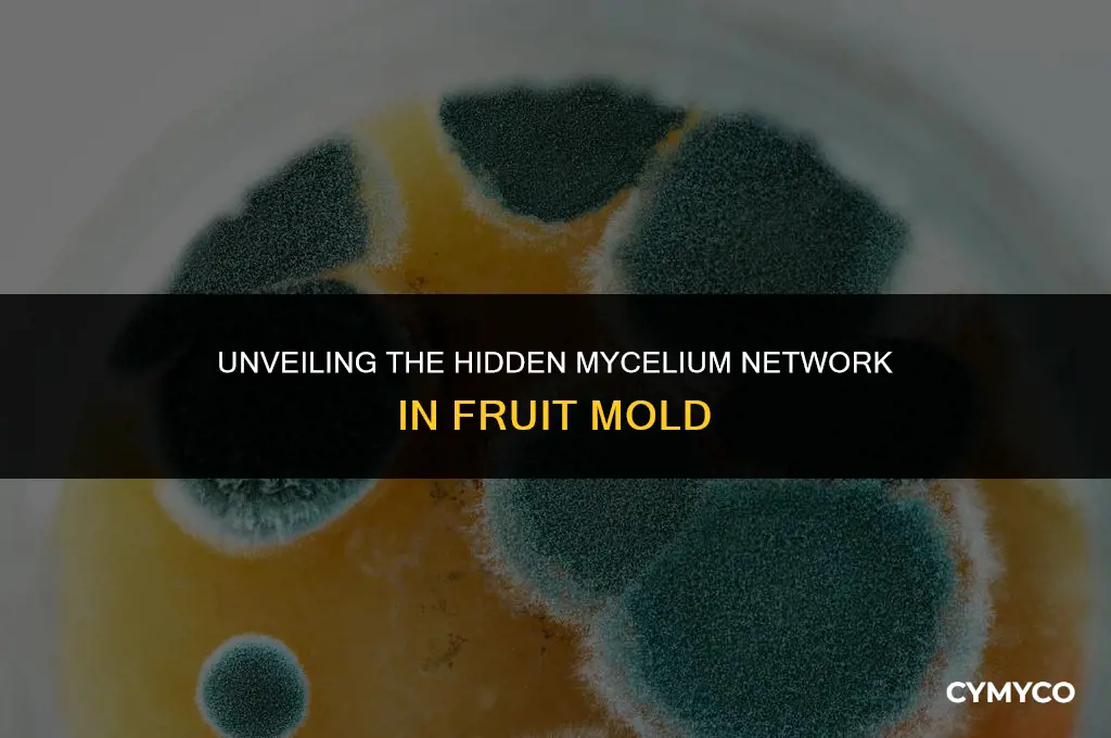 does fruit mold have a mycelium