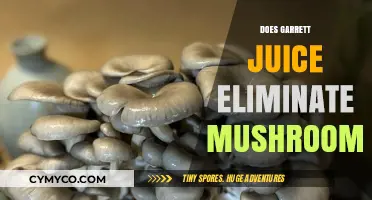 Garrett Juice vs. Mushrooms: Does It Effectively Eliminate Fungal Growth?