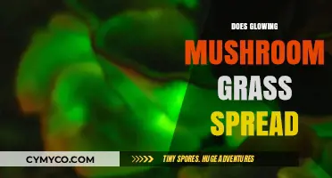 Does Glowing Mushroom Grass Spread? Understanding Its Growth and Propagation