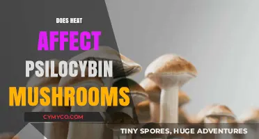 How Heat Impacts Psilocybin Mushrooms: Effects and Preservation Tips