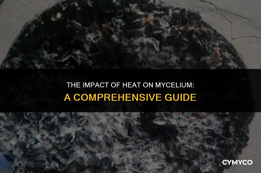 does heat kill mycelium